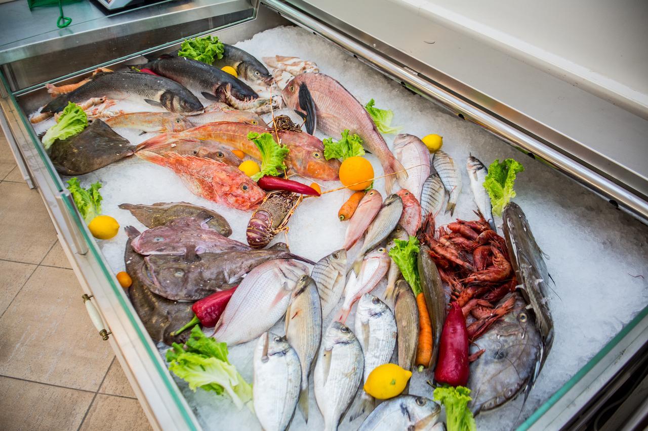 Hotel Vila Koral Durres Ngoại thất bức ảnh